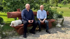 «Сидели и по-стариковски плакали друг другу на президента Зеленского, который не уважает их седины»