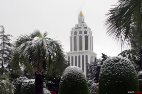 15 фото снежного января в Батуми