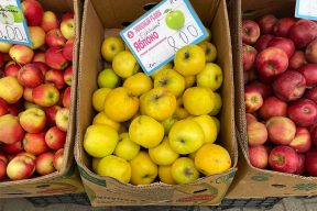 Сколько стоят яблоки в Минске на рынке и в магазине