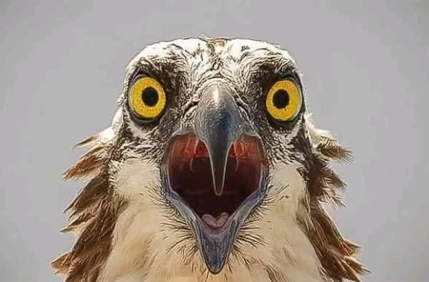 Кнырович: «Настоящий кризис в экономике Беларуси начался»