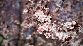 Дневник войны, глава 300. «Осторожно спрашиваю у подруги о планах на выходные – о шашлыках»